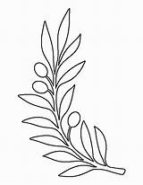 Template Olive Branch Pattern Printable Leaf Outline Coloring Drawing Stencils Leaves Tree Stencil Patterns Patternuniverse Templates Crafts Paper Flower Flowers sketch template