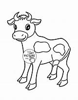 Cow Coloring Pages Printable Clipart Colouring Kids Library Little Clip sketch template