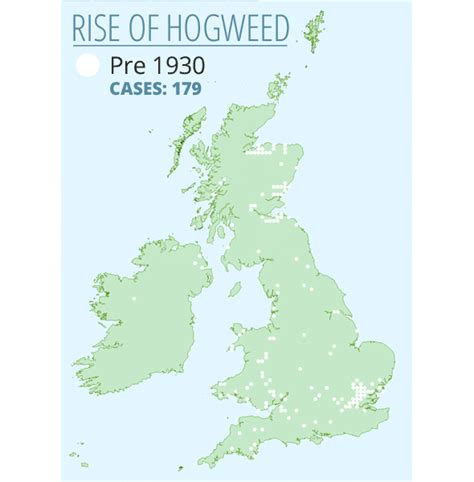 Giant Hogweed Map Are You At Risk From Toxic Plant That