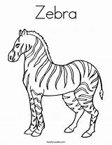 Coloring Zebra Stripes Zebras Tracing Outline 24kb Twistynoodle Print Built California Usa sketch template