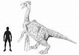 Therizinosaurus Drawing Dinosaur Scythe Sheet Collecta Sketch Illustrations Jurassic Scale Lizard Lizards Fact Mike Everything Use Announce Model Drawings sketch template