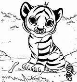 Coloring Tiger Pages Cute Baby Colouring Animal Kids Tigers Cartoon Cat Beautiful Cats Gaddynippercrayons sketch template