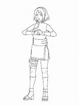 Sakura Coloring Pages Haruno Related sketch template