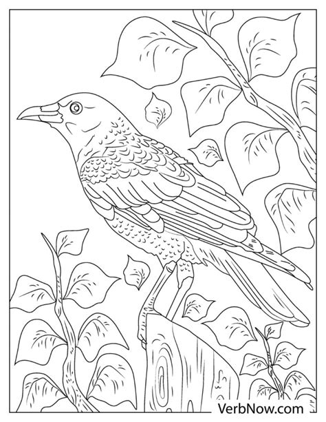 raven coloring page