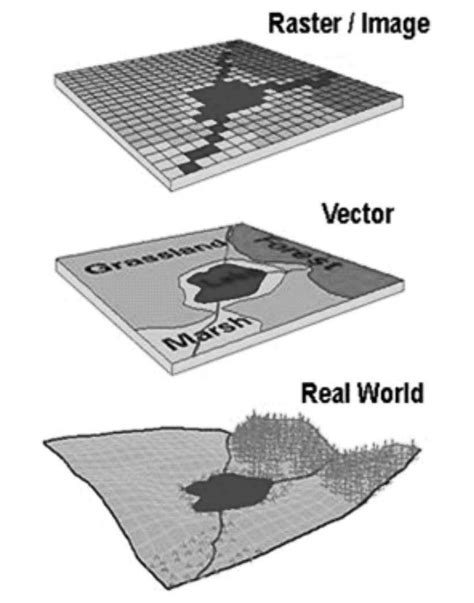 vector  raster maps  gis source  scientific diagram