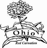 Coloring Flowers Ohio State Carnation Pages Drawing Flower Sketch Red Printable Kids Manicure York Adults Comments Sheets Getdrawings Paintingvalley Choose sketch template