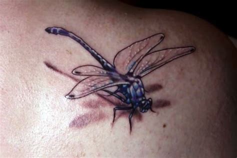 160 Beautiful Dragonfly Tattoo Designs And Meanings