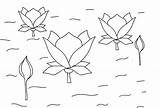 Lotus Coloring Pages Flower Printable Kids Flowers Bestcoloringpagesforkids Choose Board sketch template