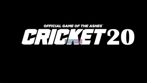 cricket  pc version full game setup   ei