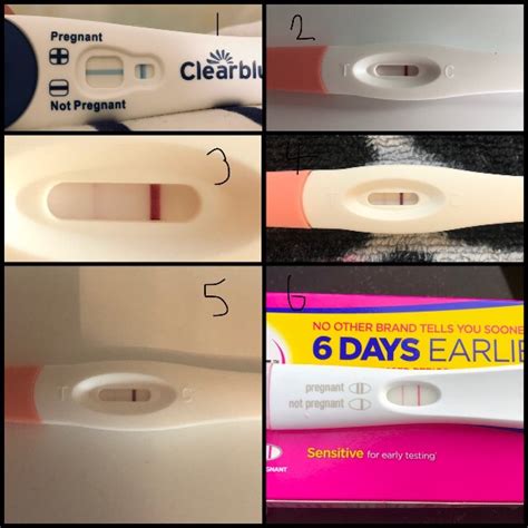Pregnancy Test At 3 Weeks 5 Days Pregnancy Test