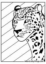 Leopards Leopard Iheartcraftythings sketch template