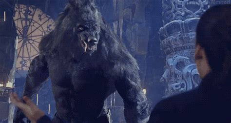 Seelenlos Werwolf Kunst Werwolf Und Vampire Und Werwölfe