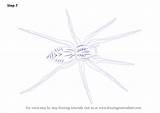 Spider Wolf Draw Drawing Step Shown Texture Shape Head Body Over Make Arachnids Tutorials sketch template