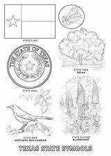 Coloring Pages Texas Symbols State Printable Flower Color Worksheets Flag Supercoloring Tree sketch template