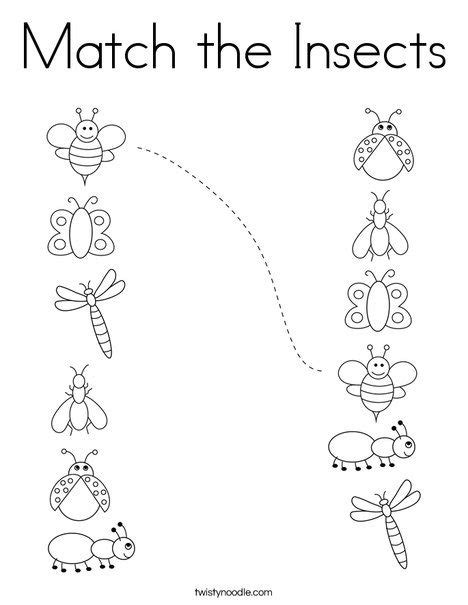 insect coloring pages  kindergarten  svg file  cricut