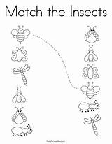 Insects Coloring Insect Twisty Twistynoodle sketch template