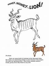 Kudu Coloring Honey Lion Janbrett Pages sketch template