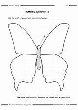 Butterfly Symmetry Resource Tes Previous Preview Next sketch template