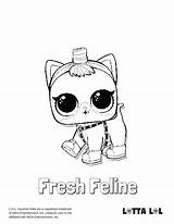 Lol Feline Dolls Dieren Omnilabo Colouring Lotta sketch template