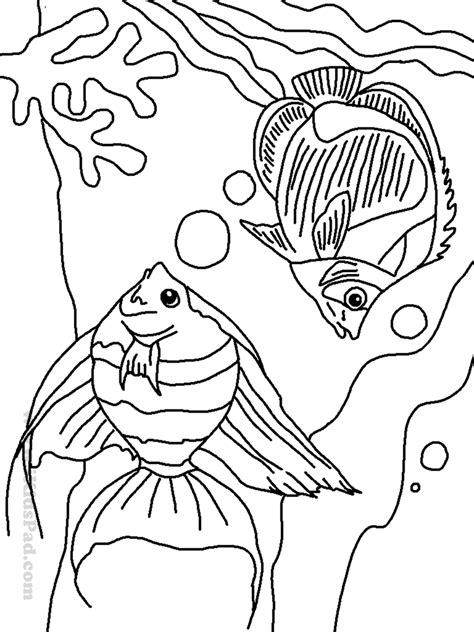 animal coloring pages cartoon sea animals underwater creatures