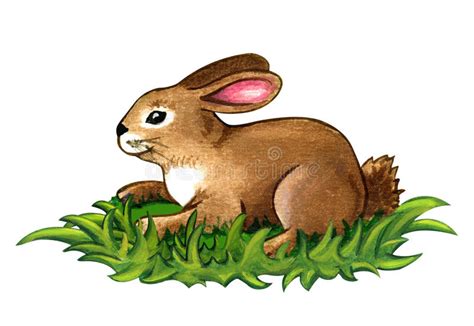 Rabbit Watercolor Illustration Sitting On Green Grass