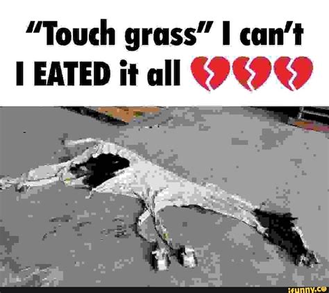 touch grass    eated   ifunny