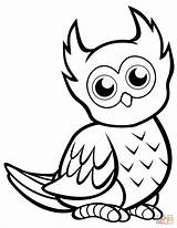 Owl Coloring Pages Cute Owls Printable Easy Drawing Print Birds Preschool Cartoon Book Supercoloring Categories sketch template