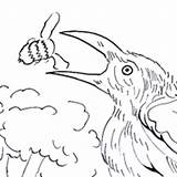 Animals Coloring Pages Eater Bee Wild sketch template