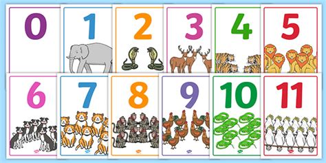 numbers    animals display posters teacher