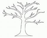 Tree Coloring Clipart Sheets Pages Library Clip Leaves sketch template