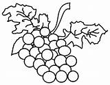 Coloring Grapes Drawing Pages Clipart Canned Food Fruits Fruit Leaves Part Clipartbest Grape Vine Clipartmag Am sketch template