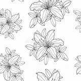 Contour Rhododendron Seamless sketch template