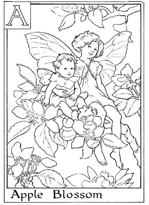 flower fairy coloring pages coloring book pages pinterest flower