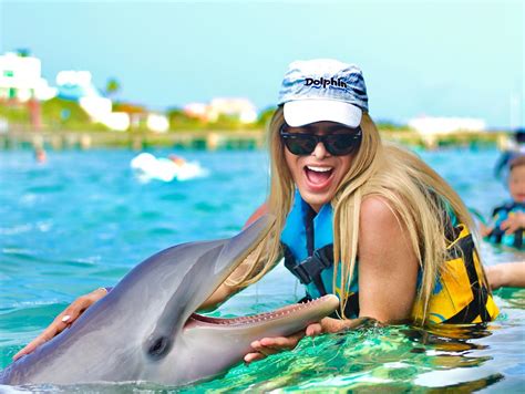 top  places  swim  dolphins  jamaicatravel experta travel lifestyle freedom