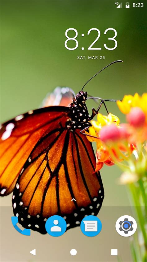 Butterfly Hd Wallpapers Amazon De Apps Für Android