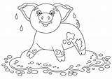 Mud Drawing Pig Coloring Puddle Pages Funny Getdrawings Drawings Sketch Template sketch template