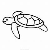 Turtle Tortuga Tartaruga Colorear Desenho Marinha Aquatic Tortoise Cheloniidae Hewan Kura Penyu Hitam Seaturtle Pngegg Clipartmag Ultra Dibentuk Tangan Sifatnya sketch template