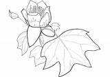 Tulip Poplar Leaf Coloring Flower Printable Dogwood Pages Flowering Categories sketch template