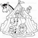 Circus Coloring Pages Carnival Animals Clip Clipart Top Printable Tent Animal Preschool Big Print Kids Sheets Color Clown Cartoon Books sketch template