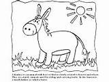 Donkey Facts Coloring Printable Activities sketch template