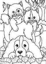 Colorare Gatto Disegno Katzen Cachorro Gatti Gatinhos Cima Cagnolino Gattino Tudodesenhos Coloriamo Micio Micetto Malvorlage 1165 sketch template