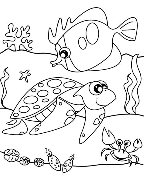 fish  tortoise easy coloring page topcoloringpagesnet