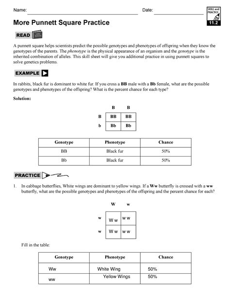 punnet square practice  school year  date