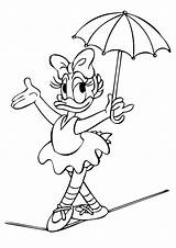 Coloring Daisy Minnie Pages Duck Mouse Mewtwo Umbrella Mega Ducks Acrobat Donald Boyama Colouring Umbrellas Getcolorings Preschool Color Dai Getdrawings sketch template