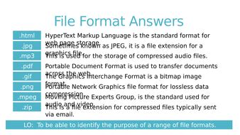 file formats worksheet  answers teaching resources