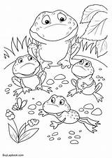 Frogs Frog Coloring Life Cycle Pages Family 2480 Pixels sketch template