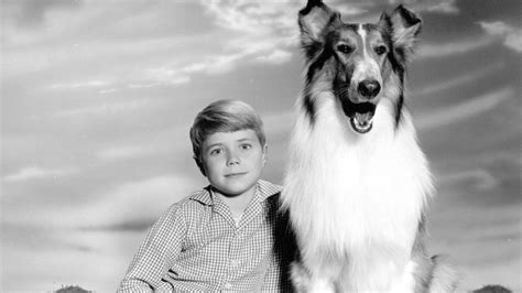 Lassie Season 17 Where To Watch Every Episode Reelgood