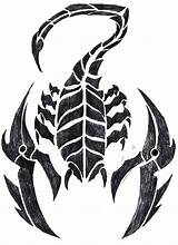 Scorpion Tattoo Tribal Drawing Twisted Drawings Tattoos Serpent Designs Deviantart Paintingvalley Stencils sketch template