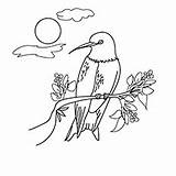 Coloring Hummingbird Pages Ruby Throated Getdrawings sketch template