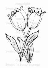 Tulips Stamps sketch template